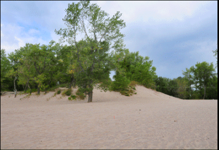 Photograph of Long point ontario properties for sale on the Gold Coast, south coast of Ontario on Lake Erie